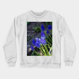 Blue Bells  and Sunshine Crewneck Sweatshirt